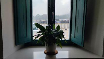 El balcón de Carmen - Foto 4