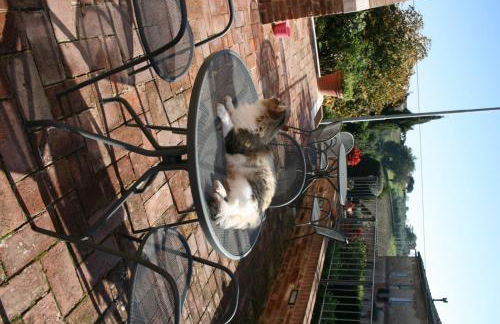 Podere Olmo Adriano - Foto 46