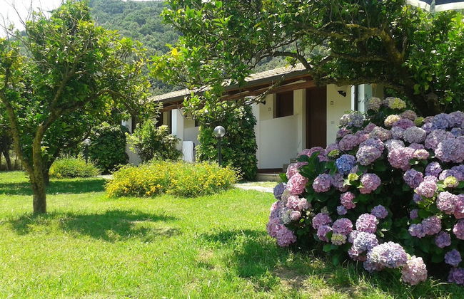 Il Casale delle Arance - Foto 23