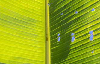 Home2Book Design Asian Sabina, Heated Pool & View - Foto 48