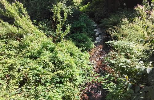 Hochwald Balkon - Foto 36