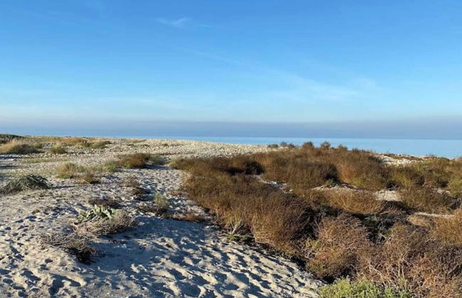 5 Person Holiday Home in Rorvig - Foto 18