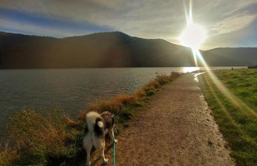 Apartament EWCIA - Foto 23