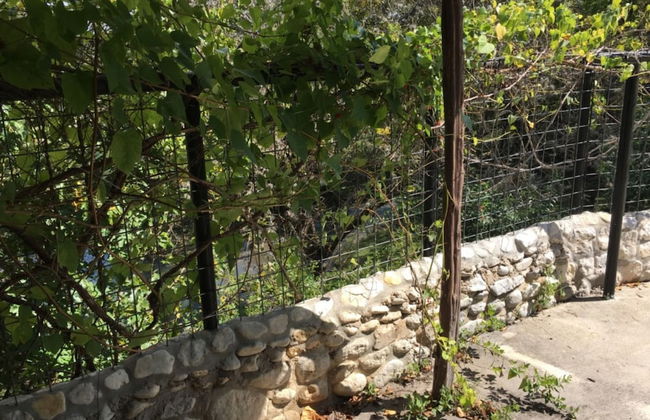 Frio Springs Lodges - Photo 32