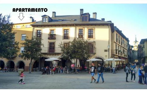 XOXO - Encina - Foto 42