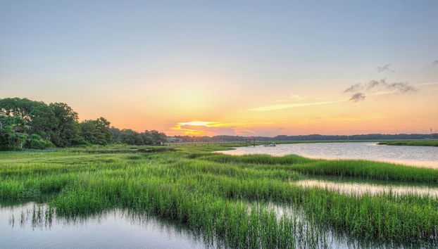 Village House by Hilton Head Retreats - Foto 5, Servicios del alojamiento