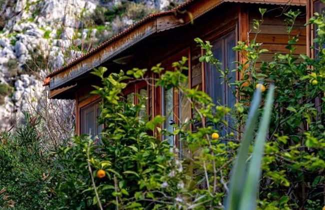 Palmira Selimiye - Foto 5