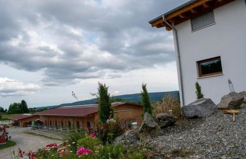 Ferienwohnung auf Aussiedlerhof mit Pferdepension - Foto 6