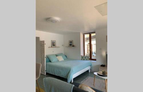 Les Hortensias, charmante petite maison en pierre - Foto 20