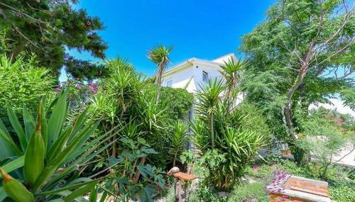 Apartments Yucca - Foto 2