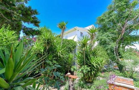 Apartments Yucca - Photo 2