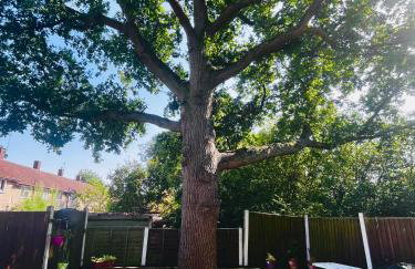 Absolutely Beautiful Hemel Hempstead 2-bedroom for 1-5 Guests - contractors welcome - Foto 26