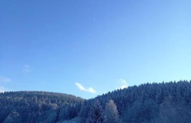 Monteurwohnung Aroba - Foto 36