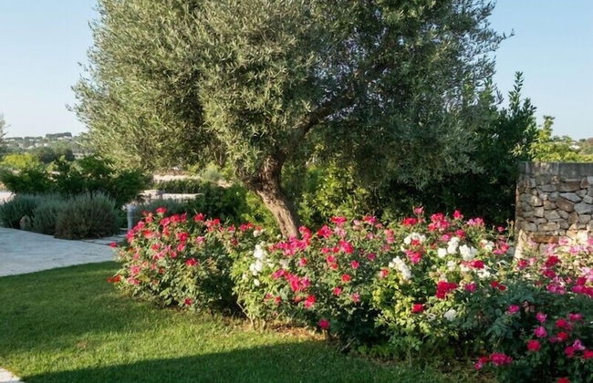 Tenuta Odegitria - Foto 72