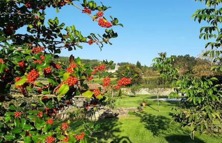 Casa dos Limões - Paredes de Coura - Foto 31