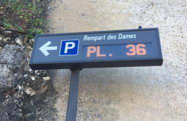 Sancerre Sunflower - Tournesol de Sancerre - Foto 11