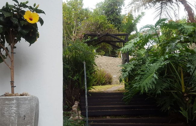 Seagulls Nest - Foto 15