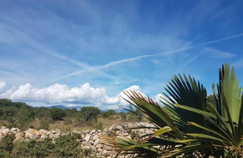 Apartments Silver - Photo 47