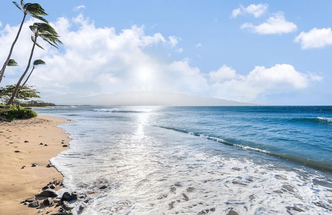 Kanai A Nalu 211 in Wailuku - Foto 46