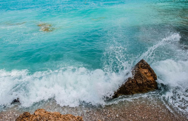 Avatar in Bah a de J vea - Foto 26