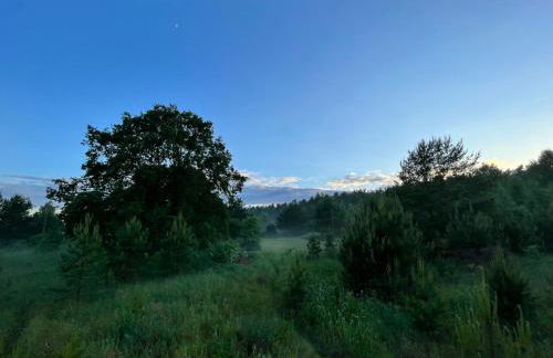Landbahnhof Buschhof 1 OG, mit Gartensauna - Foto 32