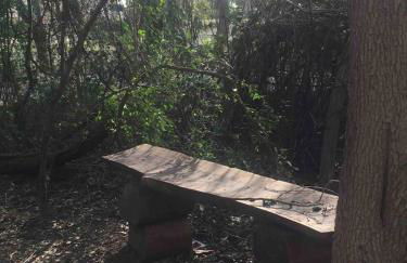 The Bryan House, Where History & Nature Meet! - Foto 2