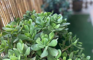 115m2 K.G HOME - Foto 42