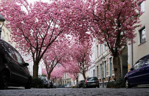 Downtown Apartments - Foto 72