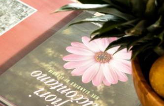 Chiwi's Home - Photo 41