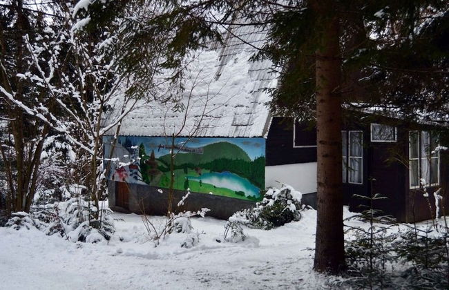 Ski-Lake Cottage Nízke Tatry - Foto 35