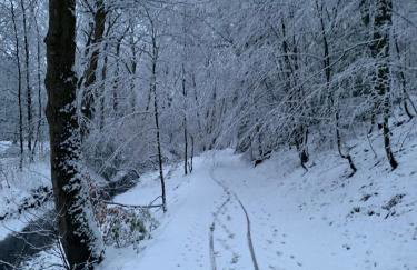 Apartment in Oughtibridge - Foto 31