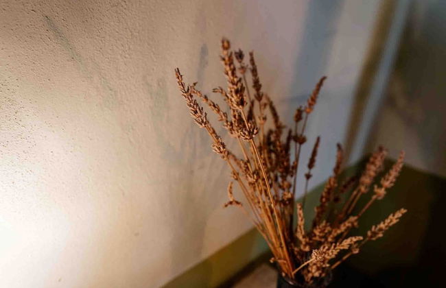 Agriturismo Bio Fattoria di Pietra - Foto 70