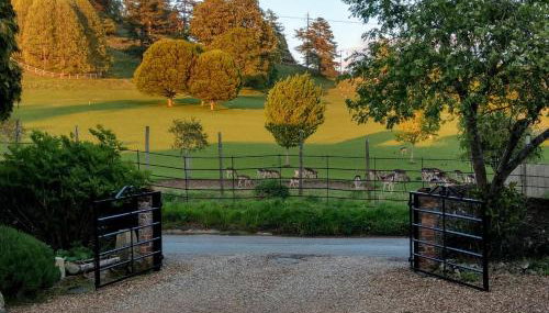 White Pond Farm - Foto 2