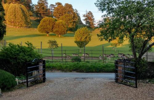 White Pond Farm - Foto 2