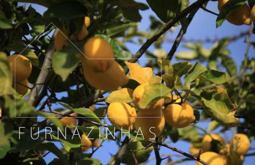 Casadasfurnazinhas - Foto 59