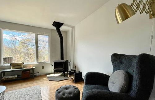 Fireplace Catskill Views Overlook Lake Cabin - Foto 11