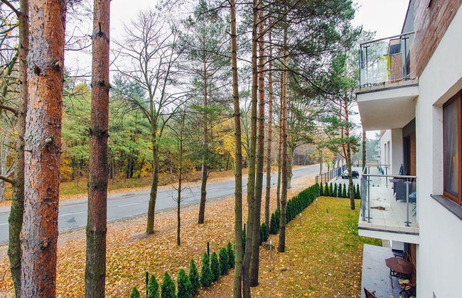 Cztery Pory Roku - Foto 23