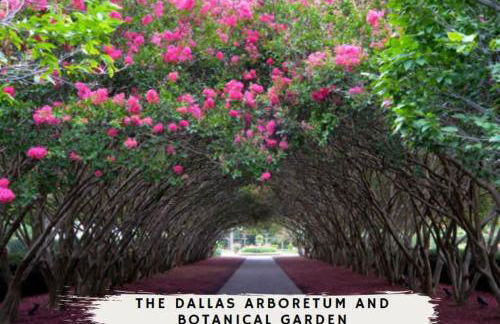 3-BD 3-BA Bungalow ft Backyard w Deck & Firepit - Foto 47