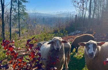 Domki Na Wypasie - Sauna & balia - Foto 4
