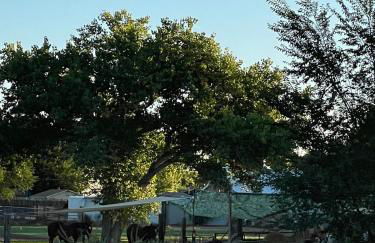 Chasing Sunsets and Serenity - Foto 29