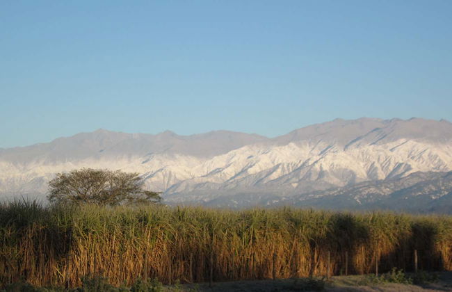 Tafi del Valle, Quilmes Ruins Tour + Winery - Photo 7