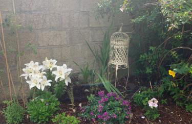 Paimpol centre tout à pieds avec extérieur ! - Photo 2