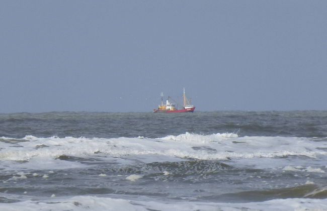 Apartment in Hollum Near the Sea - Foto 38