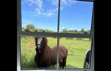 Penderyn Cottage, Waterfall Country, Brecon Beacons - Photo 71