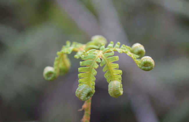 Balade en kayak sur le lac Mapourika - Photo 4