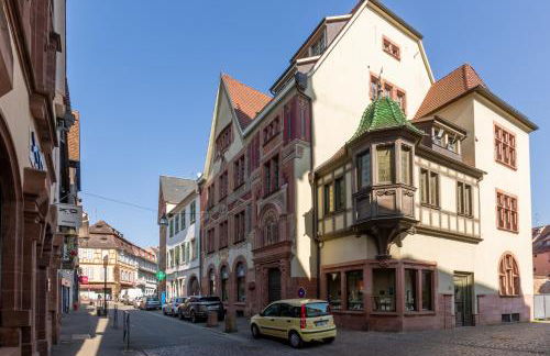 LE RHENANUS Martin Bucer - grand appartement au calme - centre ville - parking gratuit - Foto 25