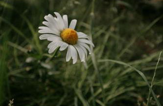 Pärchen Auszeit am Rande der Heide Tokajer Zimmer - Foto 17