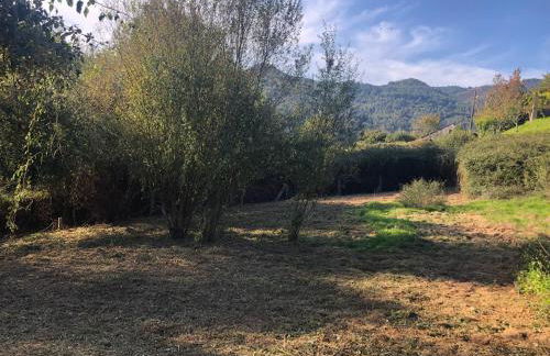 QUINTA do SOUTO BARCIADEMERA - Foto 63