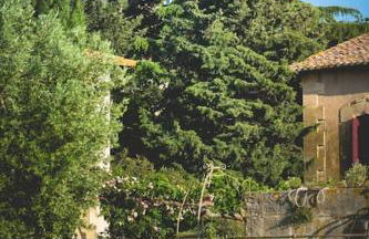 Mas de charme en pleine Camargue - Photo 6