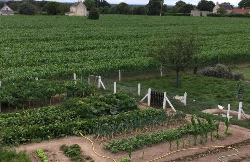 Les Galets - Foto 48